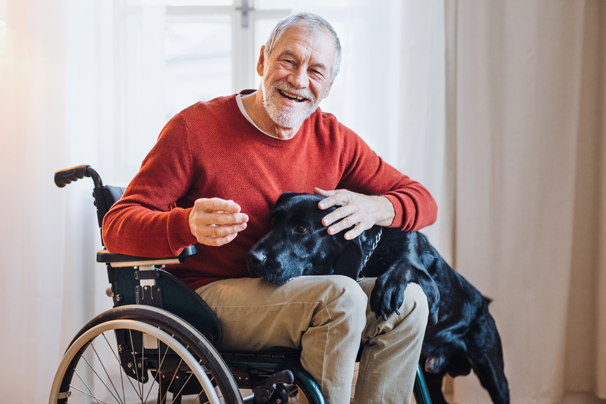 Happy older man at home sitting in a wheelchair and petting his dog.