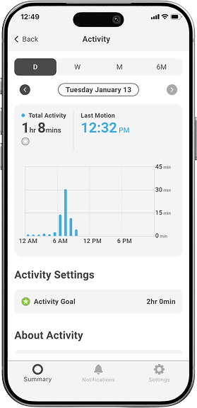 The Lifeguard app on iPhone displaying a summary of activity in the home.
